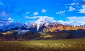 景區(qū)旅游行業(yè)市場(chǎng)分析2022