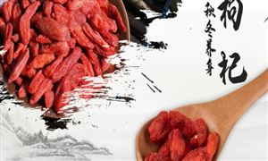 市場調(diào)研 2022枸杞行業(yè)調(diào)研及未來發(fā)展方向分析