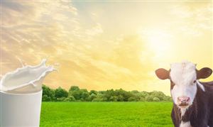 中國乳制品行業市場調研：預計零售額將突破5000億元