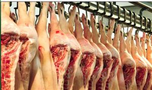 中國生豬養殖屠宰行業市場調研 融資金額超過300億元