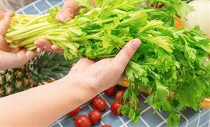 直播電商行業市場規模預測 直播電商行業投資戰略研究