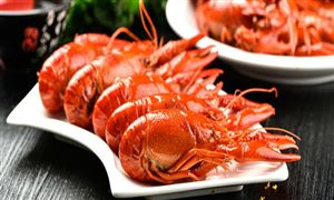 中國小龍蝦行業產業鏈及發展現狀分析