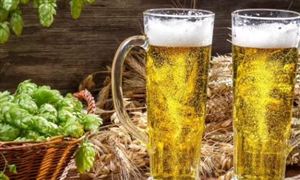 2022年中國啤酒行業投資現狀前景分析