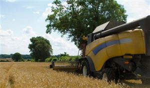 中國挖掘機(jī)行業(yè)市場調(diào)研 中國二手挖掘機(jī)需求上升