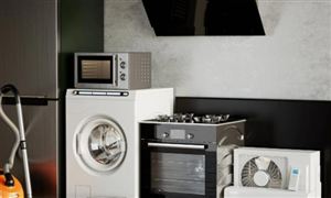 清潔小家電市場市場多大 清潔小家電行業投資分析