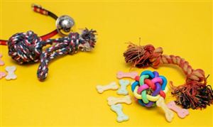 寵物行業迎來新一輪的爆發  寵物玩具行業發展現狀如何？