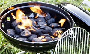 中國木炭行業市場現狀分析報告2022