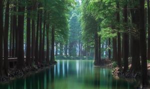 全國濕地保護規劃：2025年我國濕地保護率將達55% 濕地行業現狀分析