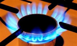 四川盆地頁巖氣又獲重大發(fā)現(xiàn) 助力國(guó)家天然氣千億方級(jí)產(chǎn)能基地建設(shè)