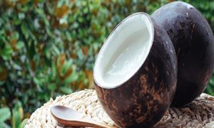 椰子行業分析　中國椰子行業現狀及前景?