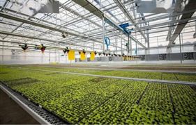 2022中國(guó)農(nóng)業(yè)科技重要?jiǎng)?chuàng)新方向與發(fā)展現(xiàn)狀