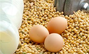 大豆蛋白行業(yè)市場需求 大豆蛋白行業(yè)應(yīng)用前景分析