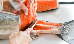 全球三文魚行業(yè)市場現(xiàn)狀分析及中國三文魚進(jìn)出口市場分析