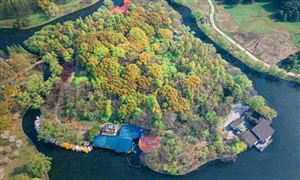 植物園行業市場深度調研及我國植物園行業發展現狀分析