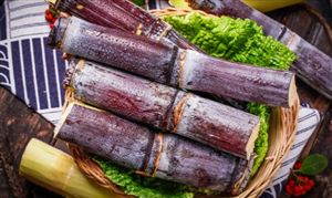 2022甘蔗行業(yè)市場深度分析  需求缺口主要來源于進口