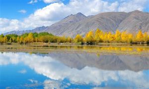 退耕還草現(xiàn)金補助期限延長3年 退耕還林征地補償多少錢一畝2022 林業(yè)?行業(yè)深度分析?