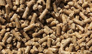 肉禽養殖規模的不斷擴大將進一步擴大肉禽飼料市場的規模 中國禽飼料行業發展趨勢分析