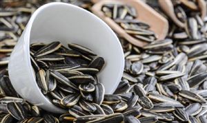 瓜子行業(yè)市場調(diào)研 ?瓜子行業(yè)市場占有率分析?