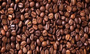 連續(xù)兩年拉尼娜影響發(fā)酵 最大咖啡豆產(chǎn)能?chē)?guó)減產(chǎn)已成定局 中國(guó)咖啡市場(chǎng)容量與變化趨勢(shì)