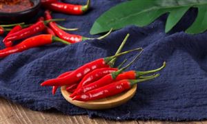 辣椒種植風(fēng)險(xiǎn)較低 辣椒行業(yè)前景廣闊 中國辣椒出口情況