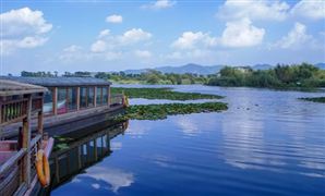 中國綠色生態行業市場深度調研分析