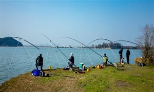 深度解讀 釣魚產(chǎn)業(yè)發(fā)展分析報告2022