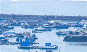 2023鮮活水產品行業市場前景及發展趨勢分析