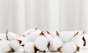 中國紡織工業聯合會:1-10月規模以上紡織企業利潤總額1526億元