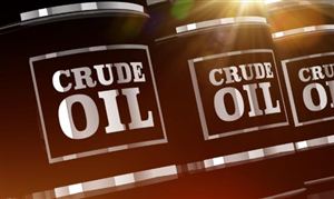 中國原油市場發(fā)展現(xiàn)狀 2022原油市場進出口情況調(diào)查研究