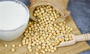 植物蛋白飲料行業市場調研 植物蛋白飲料行業發展趨勢分析