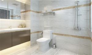 智能馬桶行業深度調研 智能馬桶行業品牌競爭格局及發展趨勢分析