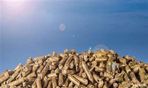 生物質(zhì)燃料產(chǎn)業(yè)規(guī)模 生物質(zhì)燃料產(chǎn)業(yè)發(fā)展趨勢