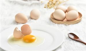 2022雞蛋行業(yè)市場深度調(diào)研 雞蛋行業(yè)正迎來品牌建設(shè)