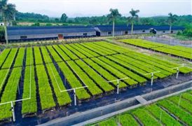 我國農業科技論文競爭力全球第一 2022我國農業科技應用現狀與發展前景研究