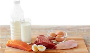 蛋白質行業(yè)市場深度分析及行業(yè)市場發(fā)展現狀分析