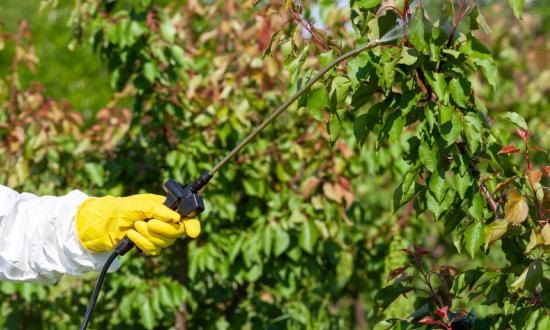 復合氨基酸行業現狀分析 2023復合氨基酸市場有多大