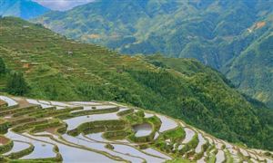 生態旅游行業市場報告分析 2023生態旅游未來發展現狀分析