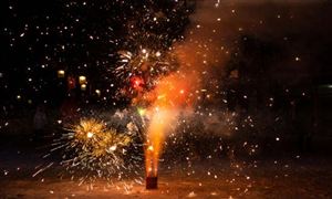 2023煙花爆竹行業(yè)發(fā)展現(xiàn)狀分析 煙花爆竹行業(yè)分析