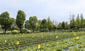 智慧農業行業市場競爭格局 智慧農業行業投資風險預測