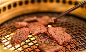 2023年中國烤肉行業市場深度分析及發展前景預測研