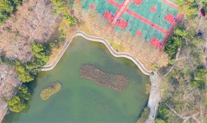 體育地產行業發展模式 中國體育地產行業市場發展前景分析