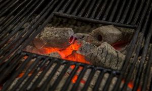 木炭行業深度發展研究及木炭行業進出口市場分析