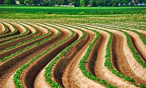 土地開發(fā)行業(yè)發(fā)展態(tài)勢 土地開發(fā)行業(yè)市場投資前景2023