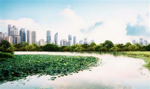 城市環保行業市場前瞻分析 城市環保行業深度調研2023