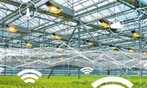 智慧農(nóng)業(yè)的發(fā)展重點? 智慧農(nóng)業(yè)行業(yè)發(fā)展投資現(xiàn)狀前景分析