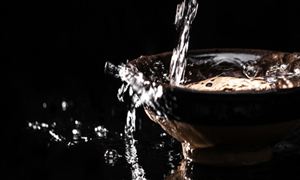 白酒終端銷售回暖 白酒行業市場調研分析