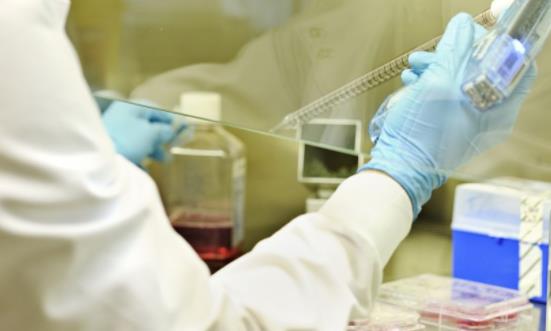 微生物檢測行業發展分析 微生物檢測市場需求發展前景