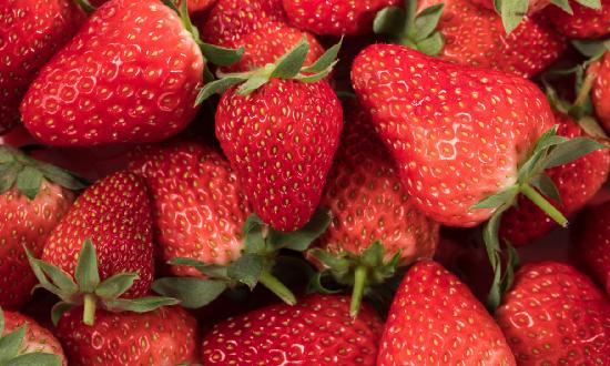 草莓栽培行業市場深度分析及未來發展趨勢預測2023