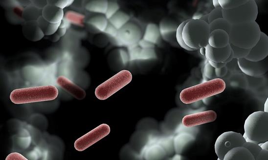 全球及中國單細胞測序行業應用現狀 全球及中國單細胞測序行業投資前景分析