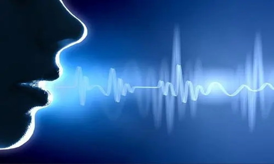 語言識別行業發展前景 語言識別行業市場規模預測2023